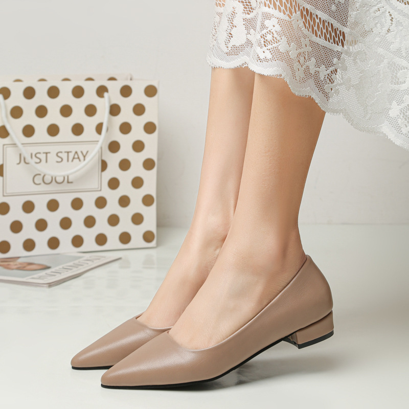 Spring Pointed Toe Shallow Mou - Women Formal Wear For Office ulasan dan harga